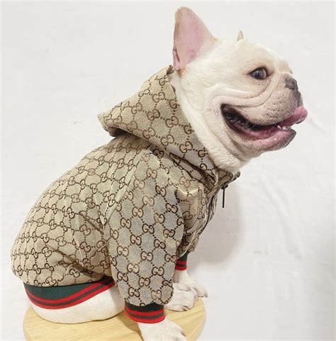 gucci puppy jacket|Gucci dog collection.